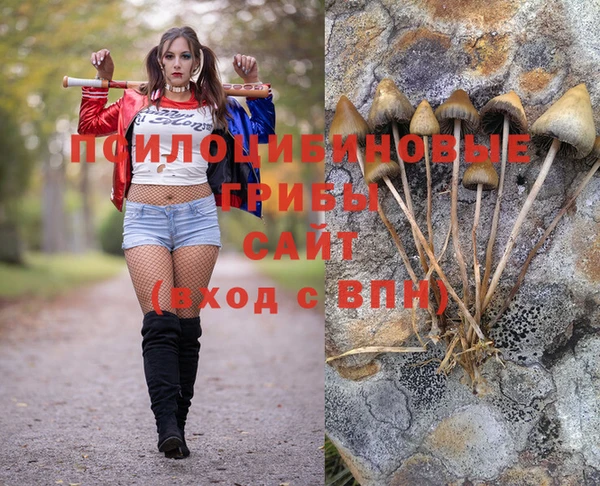стафф Армянск