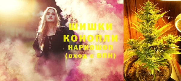 крисы Арсеньев