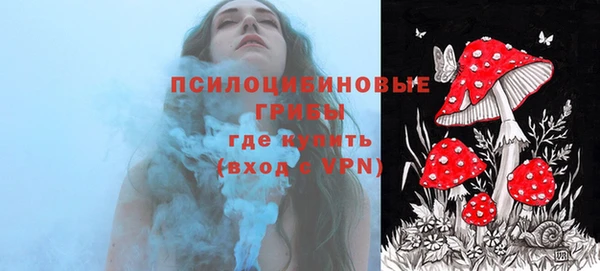 стафф Армянск